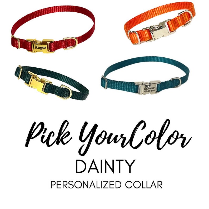 3/8 Dainty Dog Collar Pick your Color over 22 colors xxs size available image 1