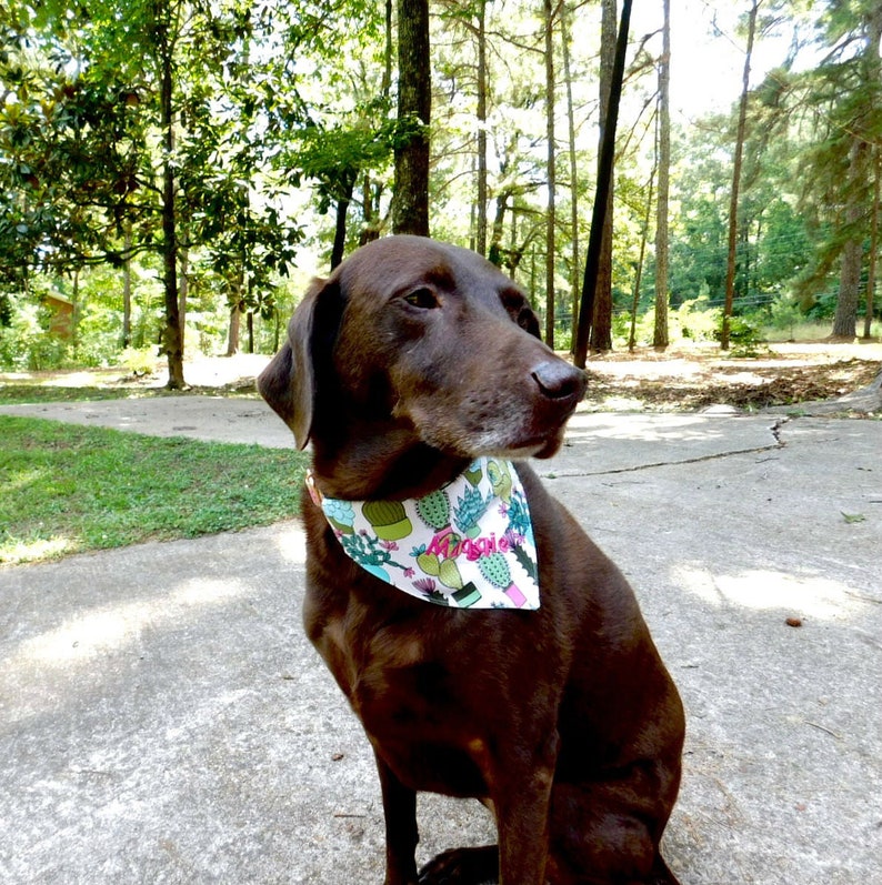 Embroidered Dog Bandana Slideon Bandana floral Print Etsy