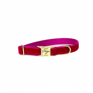 1" wide Magenta Velvet Dog Collar - Personalization optional - Tagless Dog ID