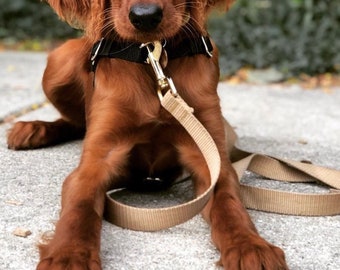 Correa de nailon para perros en color dorado tostado. Fabricada en EE. UU.