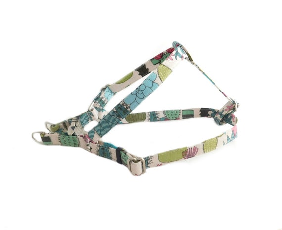 cactus dog harness