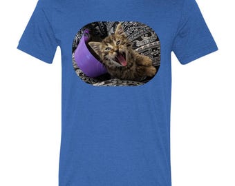 Kitten Goat Peter Unisex Triblend Tshirt