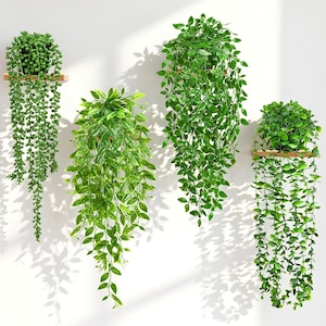 May include: Four artificial hanging plants with vibrant green foliage are mounted on wooden shelves against a white wall. The plants vary in style, with some featuring cascading vines and others displaying a more compact, rounded shape. The sunlight casts shadows.