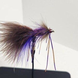 May include: A close-up of a fly fishing lure. The lure has a brown, purple, and blue feathered body with thin, wire-like legs. The fly is designed to mimic an insect and attract fish.