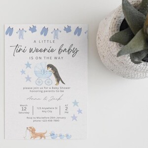 May include: A white baby shower invitation card featuring blue baby clothes, stars, and two dachshund dogs. The text reads: A LITTLE Tini Weenie baby IS ON THE WAY, please join us for a baby shower honoring parents-to-be, Anna & Jack, March 12, 123 Anywhere St, 2 PM.