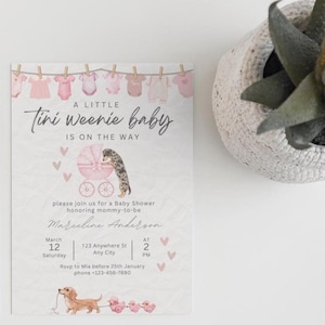May include: A baby shower invitation card featuring pink baby clothes hanging on a line, a pink baby carriage with a dachshund puppy, and a dachshund puppy pulling a line of pink rubber ducks. The text reads A LITTLE Tini Weenie baby IS ON THE WAY.