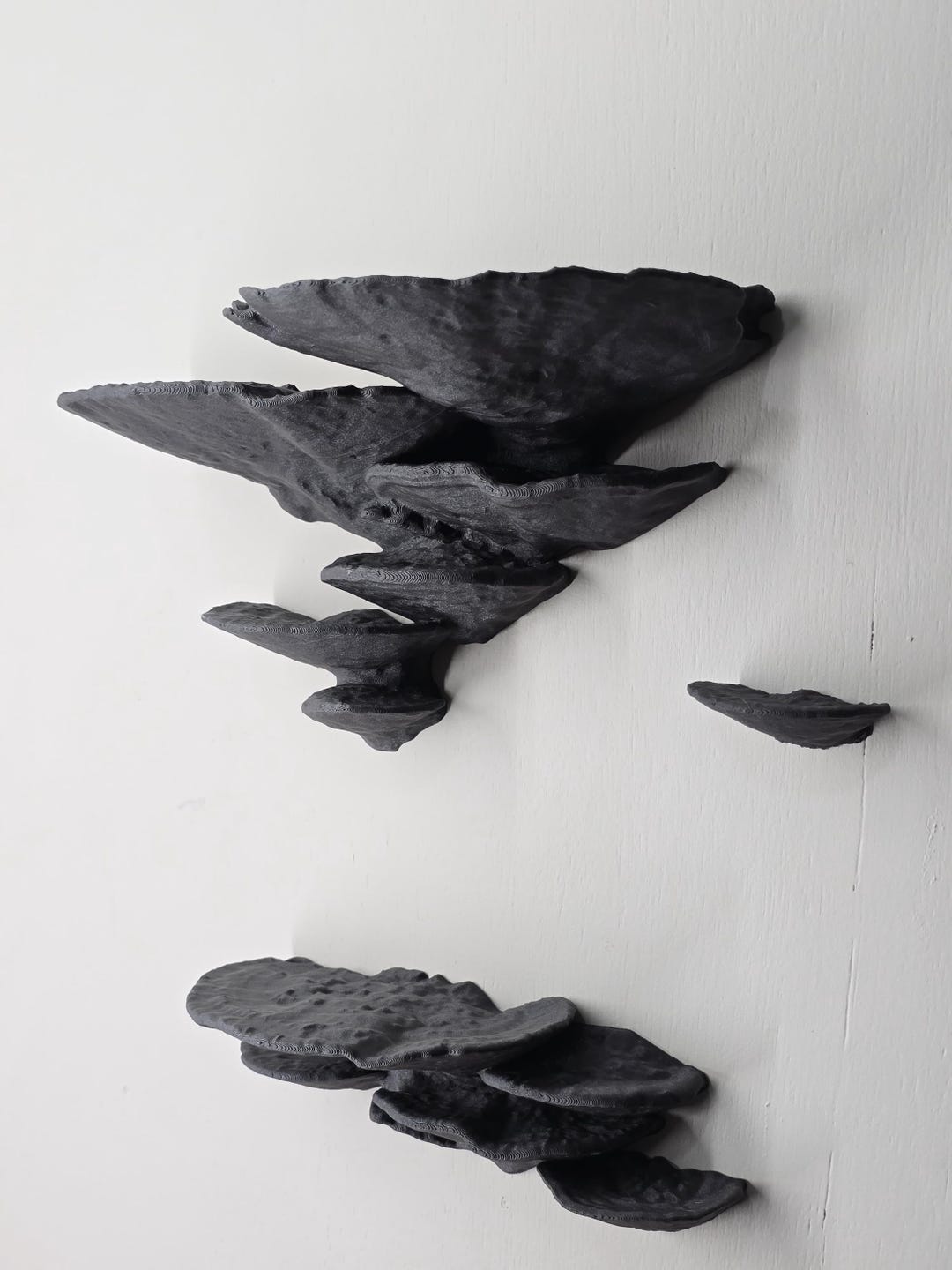 Raw Iron-Composite Mushroom Shelf | 3D Printed Wall Decor | Industrial Cottagecore | Phoenix AZ