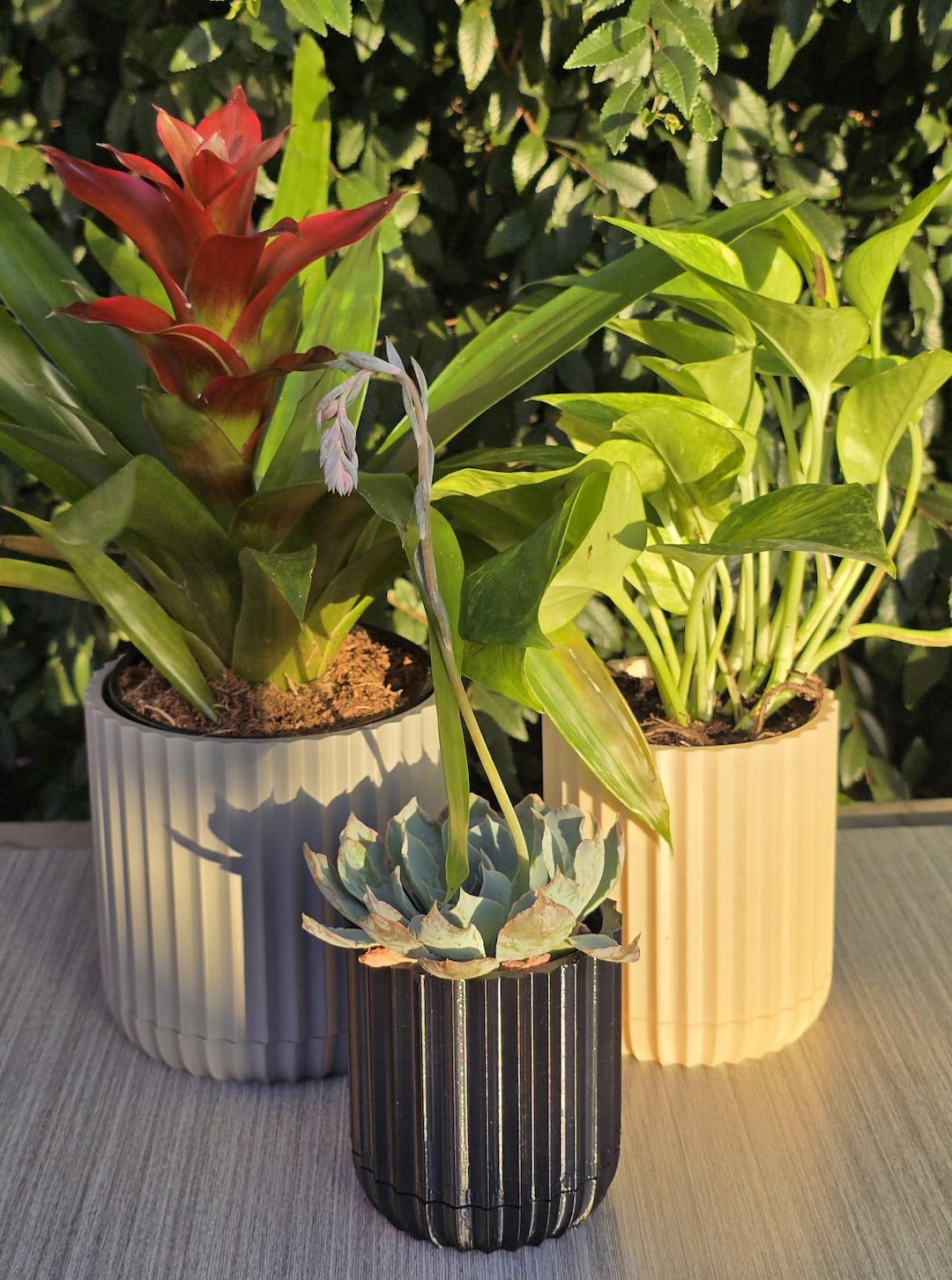 Three ribbed planters in stone, cream, and charcoal with live plants