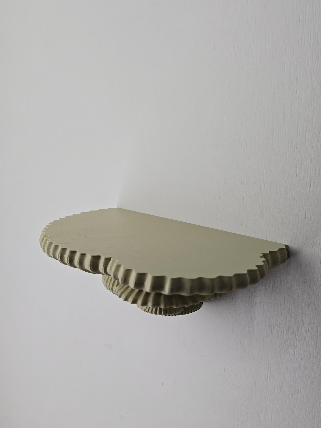 Tinder Fungus wall shelf — Fomes fomentarius