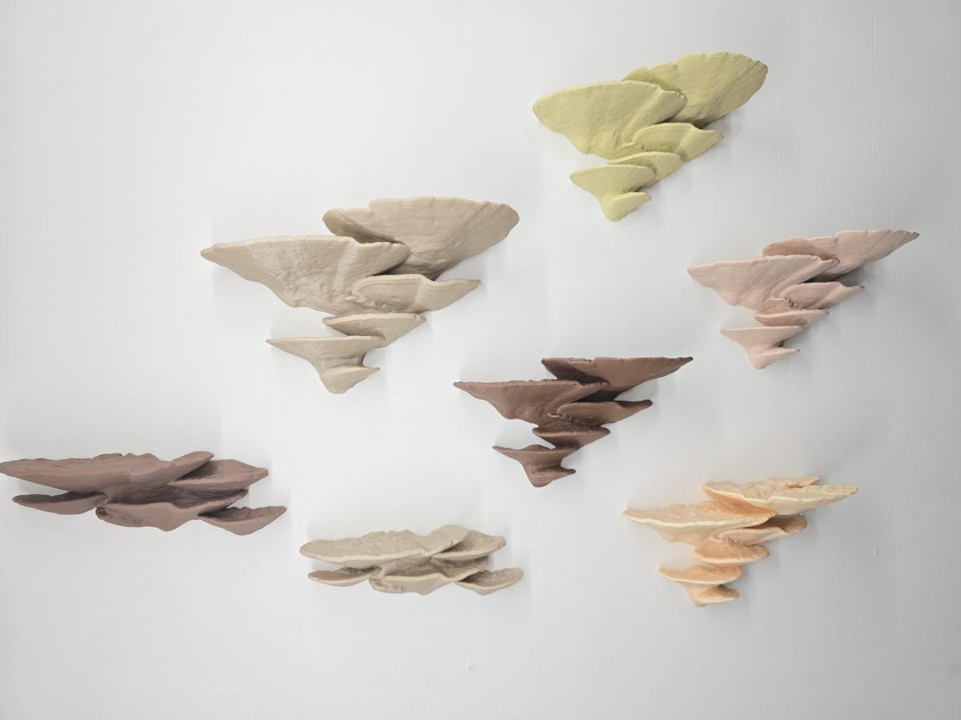 Turkey Tail mushroom shelf cluster — 6-color cottagecore wall decor