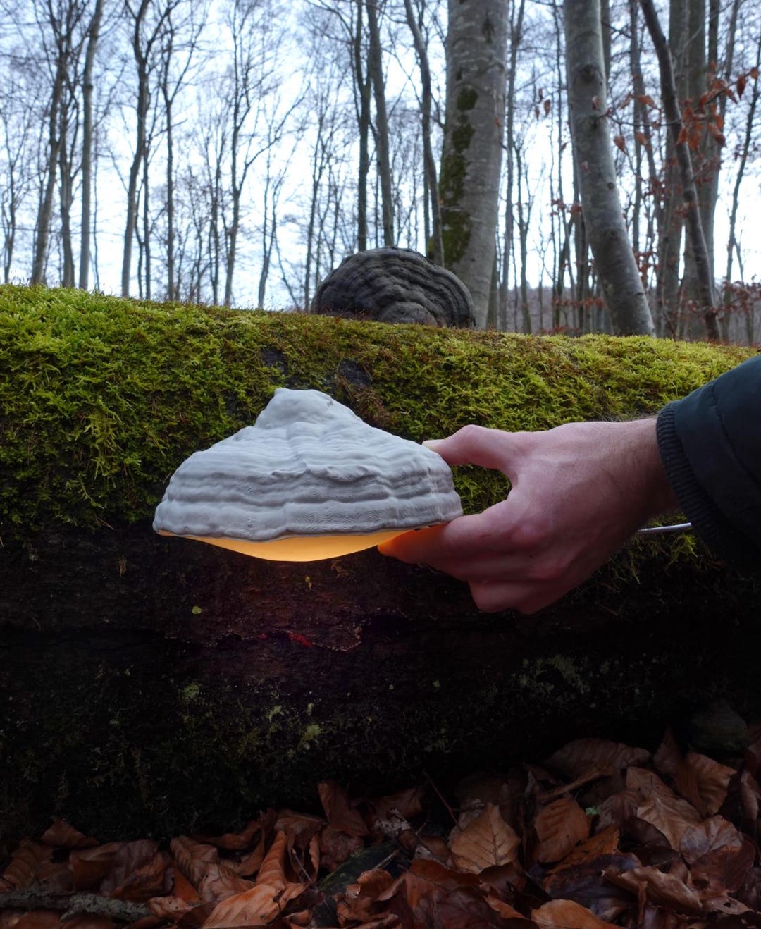 3D Printed Mushroom Wall Lamp | Cottagecore Bedroom Night Light