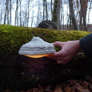 May include: A light gray, layered mushroom-shaped lamp with a warm, yellow glow. The lamp is held in front of a moss-covered log in a forest setting. The background features bare trees and fallen leaves.
