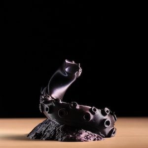 Puede incluir: Escultura de color púrpura oscuro que representa un tentáculo de pulpo. El tentáculo se curva hacia arriba, con múltiples ventosas visibles. La escultura descansa sobre una base oscura y texturizada, sobre un fondo negro.