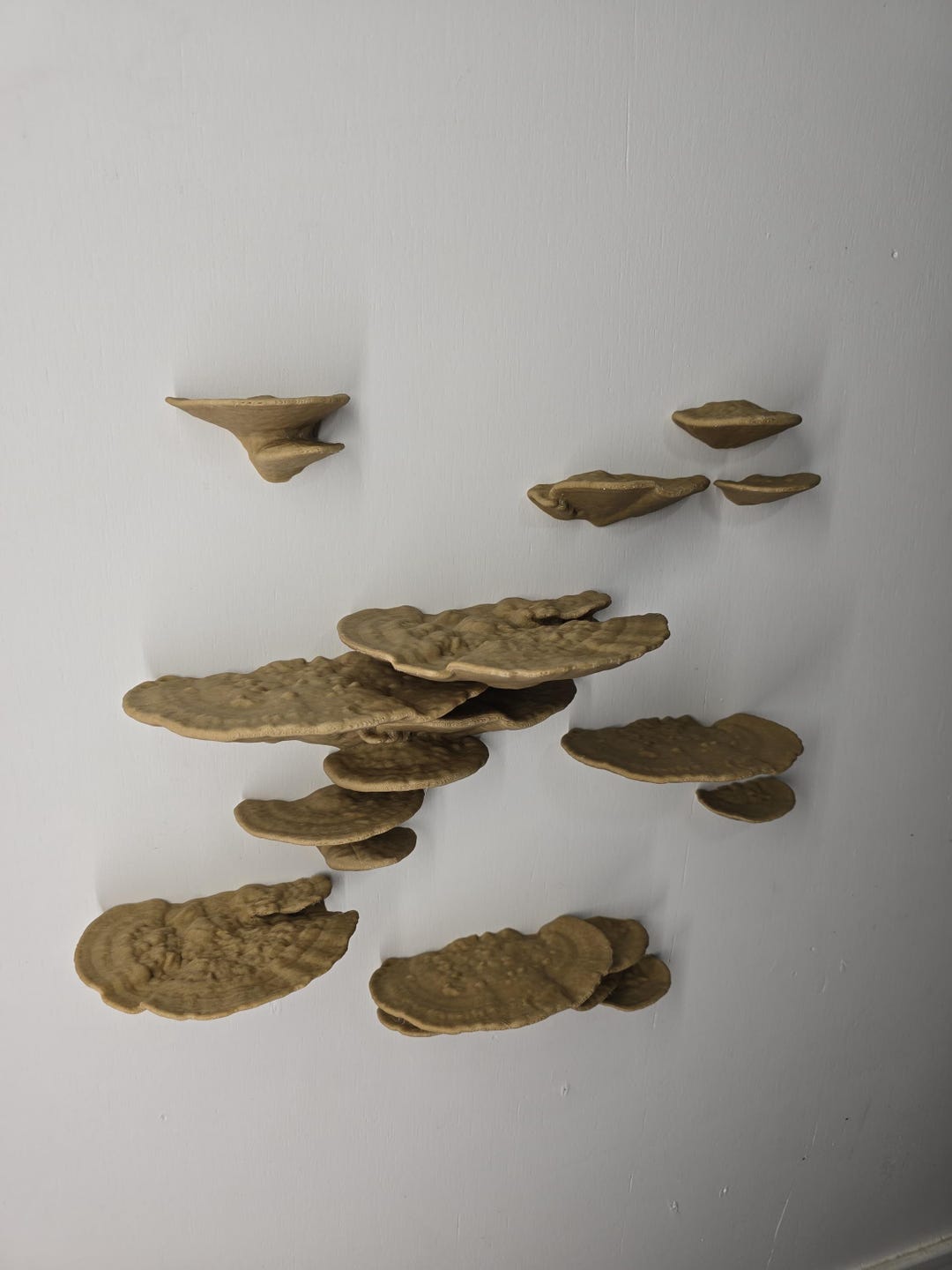 Daffodil Wood-Fill Mushroom Shelf | 3D Printed Wood-Look Cottagecore Wall Decor