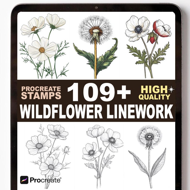 109+ Wildflower Linework Procreate Stamp Set – Floral Outlines, Petals ...