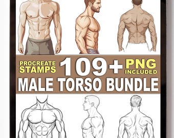 109+ Male Torso Procreate Stamps – Anatomy Outlines & Body Sketch Shapes