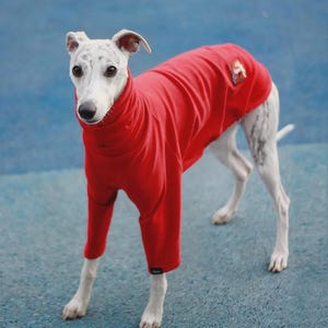 以下が含まれることがあります： ハイネックの襟と長袖が付いた鮮やかな赤色の犬用セーター。背中にはカラフルなグラフィックデザインが施された小さな長方形のパッチがあり、袖口には小さな黒いブランドラベルが付いています。
