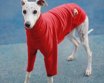 Kapuzenpullover mit hohem Kragen für Hunde – Luxuriöses Fleece für Italienische Windhunde und Whippets – Taillierte Passform, Hunde-Streetwear, Namensstickerei