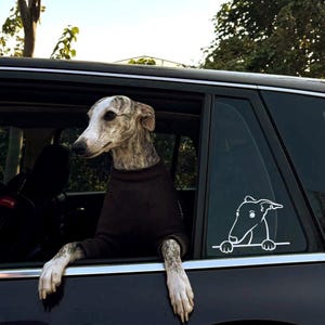 Pegatina reflectante personalizada para coche con diseño de lebrel – Pegatina para galgo y whippet, vinilo resistente a la intemperie con diseño original, más de 10 razas.