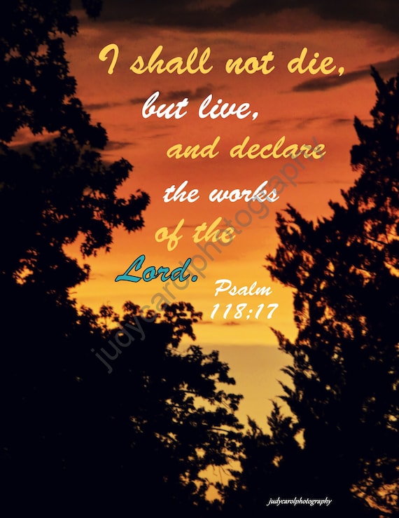 I shall not die, but live...Psalm 118:17