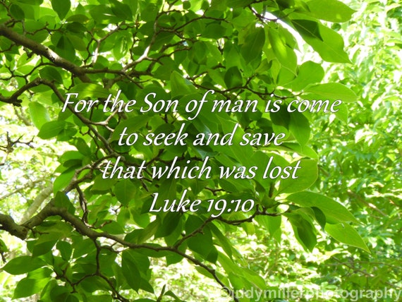 Product #10 Bible Verse Luke 19:10 the Son of man is come, nature photography, Christian Home Decor