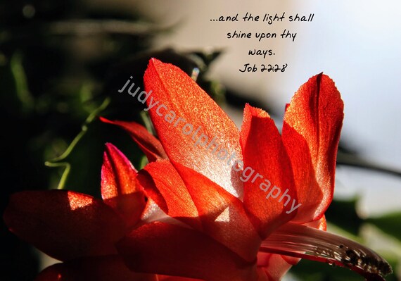 Product#35 Picture verse...and the light shall shine upon thy ways Job 22:28 for home decor and so much more