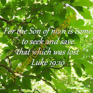 Product #10 Bible Verse Luke 19:10 the Son of man is come, nature photography, Christian Home Decor