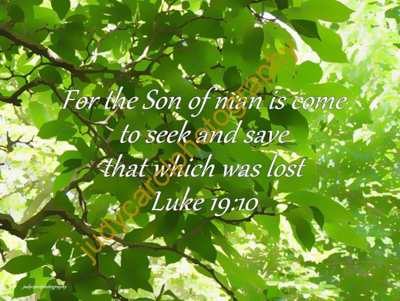 Product #10 Bible Verse Luke 19:10 the Son of man is come, nature photography, Christian Home Decor