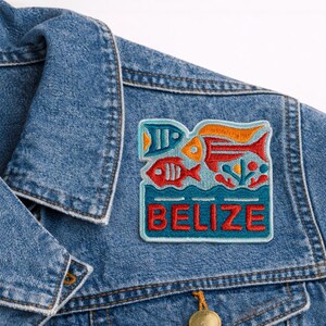Belize Fish Embroidered Patch, Tropical Ocean Marine Iron On Patch, Colorful Reef Badge for Jacket Backpack Hat Gift
