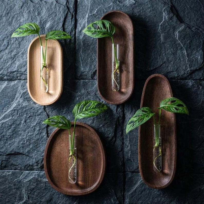 Pu&ograve; includere: Quattro fioriere da parete in legno, ciascuna con una forma ovale o rotonda diversa, contengono una provetta di vetro con una talea di pianta verde. I toni del legno variano dal marrone chiaro allo scuro.