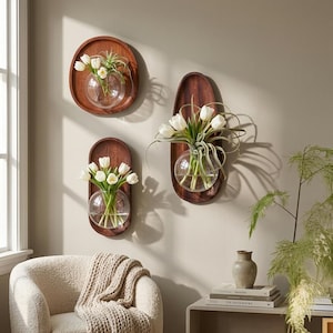 May include: Three wooden wall-mounted vases with clear glass globes, each holding white tulips. The vases are set against a neutral wall, with a chair and side table in the foreground. The wooden bases are oval and circular.