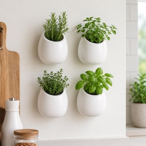 May include: Four white, egg-shaped wall planters, each filled with a different herb: rosemary, mint, thyme, and basil. The planters are mounted on a white wall, creating a modern and minimalist kitchen garden.