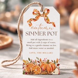 Peut inclure: Une étiquette rectangulaire en papier blanc avec une boucle en ficelle de jute, ornée d'une illustration aquarelle d'un ruban orange, de feuilles d'automne, de tranches d'orange et d'une citrouille. Le texte indique : autumn SIMMER POT, instructions, et LOVE, THE MILLARS.