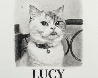 Ritratto personalizzato del tuo animale domestico in bianco e nero, realizzato a matita, a partire da una tua foto • Arte personalizzata per animali domestici