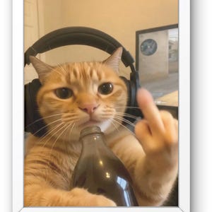 Puede incluir: Impresión enmarcada de un gato atigrado naranja con auriculares y una botella oscura, mostrando el dedo medio. Se ve un monitor de ordenador en el fondo. El gato es el foco principal.