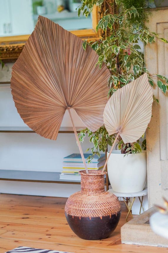 Natural Dried Palm Leaf Fronds – Large Flat Style Home Decor 56 x 127cm
