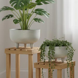 May include: Two light grey, speckled, round planters with three short legs, each holding a green plant. One planter holds a large-leafed monstera, while the other contains a trailing string of pearls plant, both resting on wooden stands.