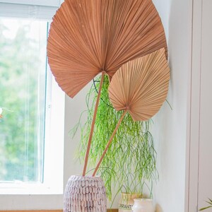 May include: A decorative arrangement featuring two large, dried palm leaves in a textured, off-white vase. The leaves are a warm brown color, and the vase sits on a wooden countertop. Green plants are in the background.