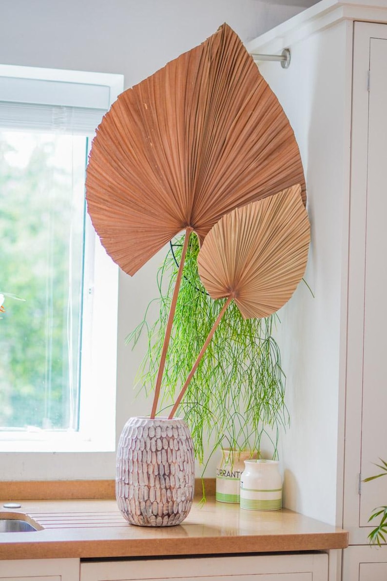 May include: A decorative arrangement featuring two large, dried palm leaves in a textured, off-white vase. The leaves are a warm brown color, and the vase sits on a wooden countertop. Green plants are in the background.