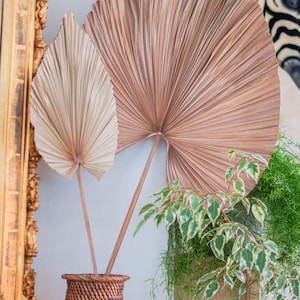 May include: Two large, dried palm leaves in shades of tan and brown are displayed against a white wall. The leaves are placed in a woven vase, with green plants in the foreground. A framed painting is visible on the left.