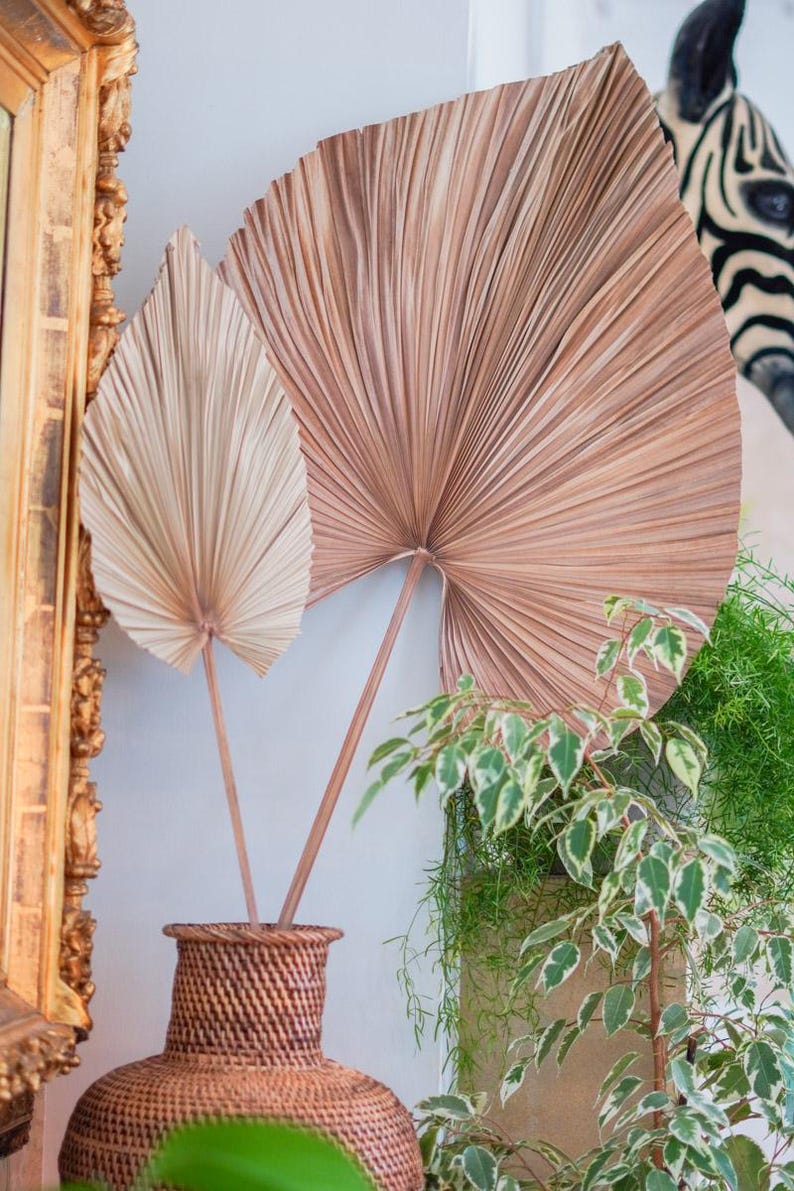 May include: Two large, dried palm leaves in shades of tan and brown are displayed against a white wall. The leaves are placed in a woven vase, with green plants in the foreground. A framed painting is visible on the left.
