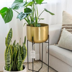 May include: A gold-coloured cylindrical metal planter pot resting on a thin black metal stand with a cross-base. A white rectangular tag with the text VAYU hangs from the planter. A green leafy plant is potted inside the gold container.