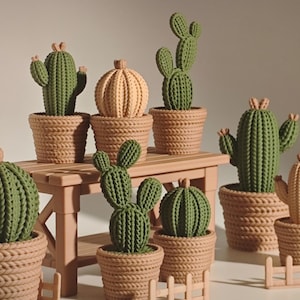 Può includere: Una collezione di sculture decorative di cactus di varie forme e dimensioni. I cactus sono verdi e beige, in vasi marroni in stile intrecciato. Alcuni sono su un tavolino di legno, e alcuni hanno piccole recinzioni di legno.