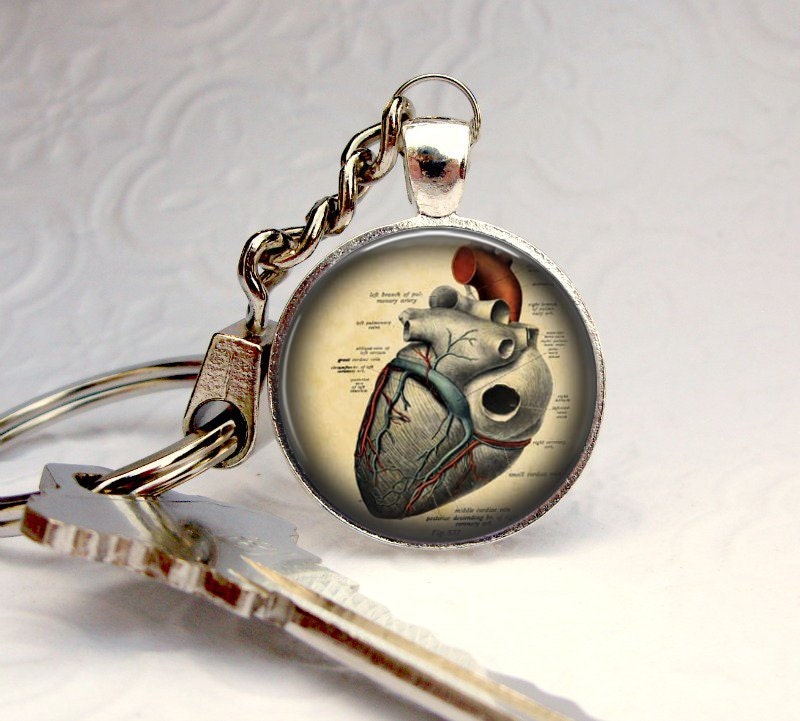 Anatomical Heart Keychain Picture Pendant Keychain Photo Etsy