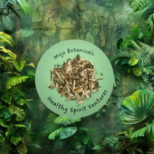 Radice di ruta per protezione, purificazione e divinazione (quantità 1 g)