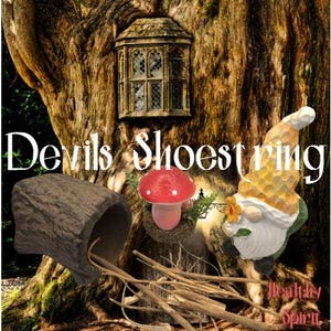 Op de afbeelding: Een fantasierijke scène met een boom, een klein raam, een paddenstoel, een kabouter en een boomstam met stokken. De tekst "Devils Shoestring" is zichtbaar. Het thema is natuur en fantasie.