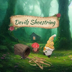 Pode incluir: Uma cena de floresta fantasiosa com uma placa "Devils Shoestring". A imagem apresenta um gnomo, um cogumelo, um tronco e uma pequena casa de madeira. O fundo é uma exuberante floresta verde.