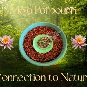 Può includere: Una ciotola turchese piena di pot-pourri marrone-rossastro, con un piatto verde più piccolo al centro. L'immagine include il testo "Mojo Potpourri" e "Connection to Nature". Due fiori rosa e gialli e due volpi sono anche nell'immagine.