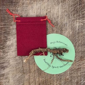 Könnte beinhalten: Ein kleiner, roter Kordelzugbeutel neben einem hellgrünen runden Etikett mit dem Text "Mojo Botanicals" und "Healthy Spirit Ventures". Eine getrocknete Wurzel liegt auf dem Etikett. Der Hintergrund ist eine Holzoberfläche.