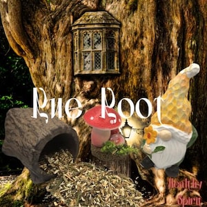 Könnte beinhalten: Ein Fantasy-Bild mit einem Zwerg, roten Pilzen und einem holzförmigen Behälter mit getrockneten Kräutern. Der Text "Rue Root" wird angezeigt, mit zusätzlichem Text unten. Der Hintergrund ist ein detaillierter Baumstamm.